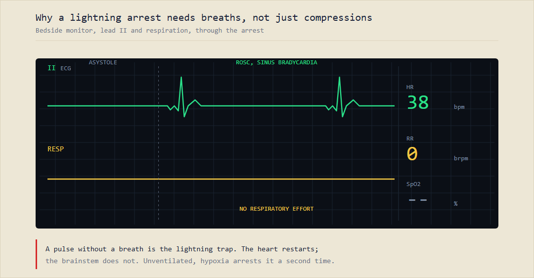 Timeline showing the heart in asystole at the moment of strike, spontaneous return of circulation within minutes, the medullary respiratory center remaining paralyzed for longer, and a second cardiac arrest from hypoxia if no rescue breathing is given.